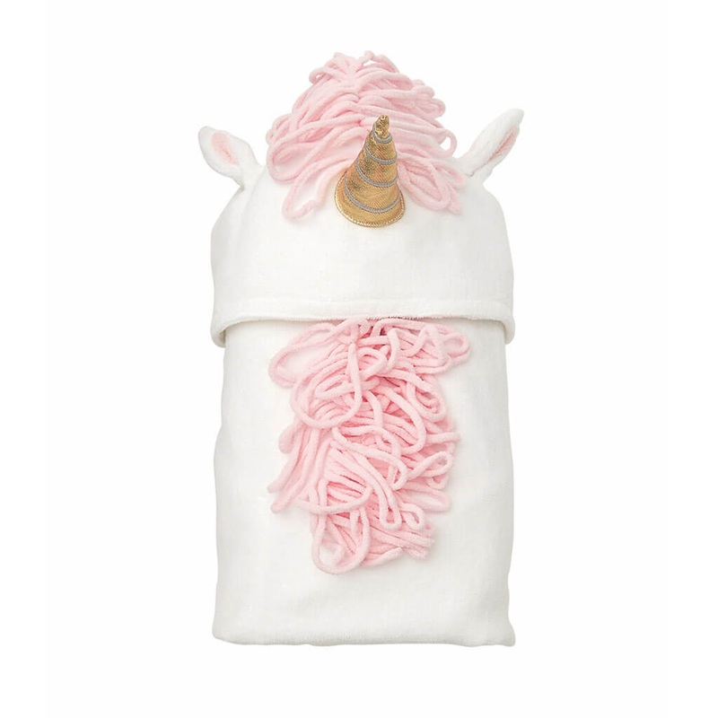 Air Plant, Tillandsia caput medusae (Small) – Plant