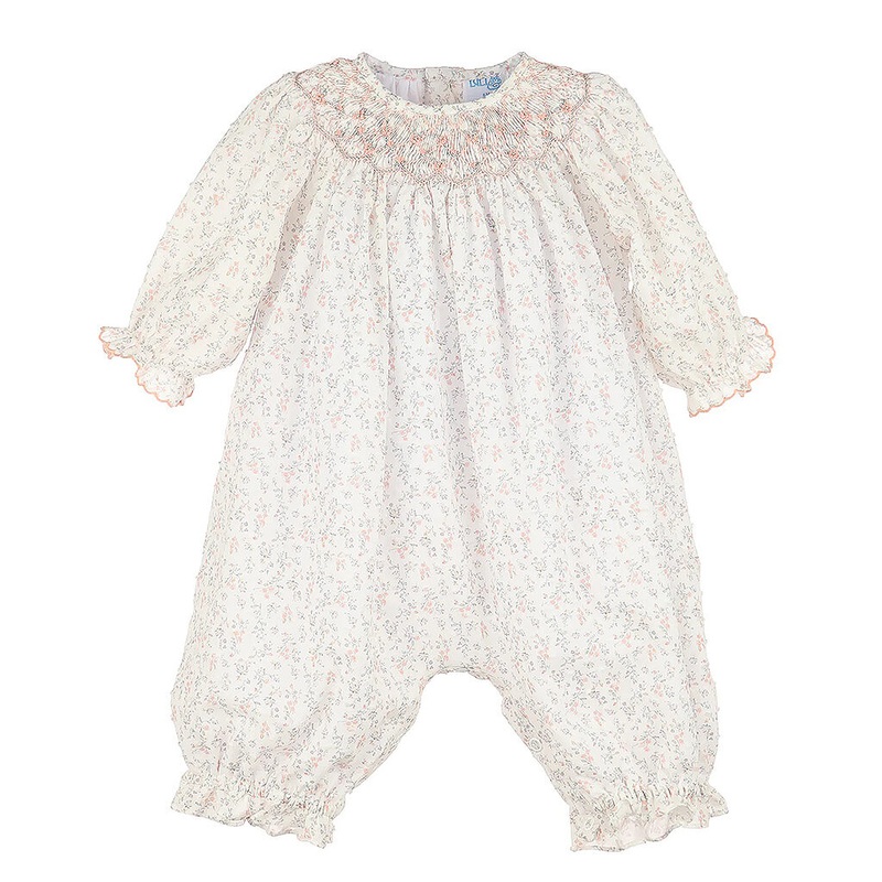 Red Sandalwood Tree, Chandan Tree – Plant