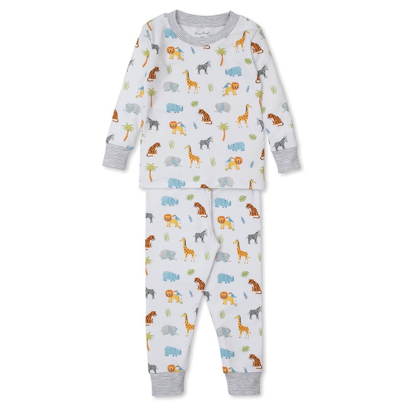 Aloe barbadensis vera – Succulent Plant