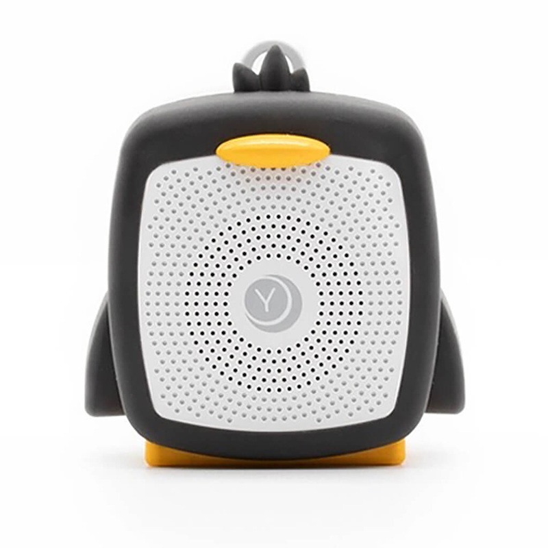 Pseudoeranthemum artopurpureum tonga – Plant