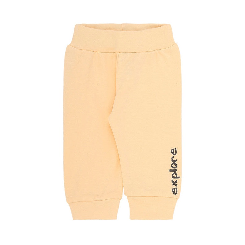 B36HOL | Cable Tie-36 175 Lb Pack Of 50