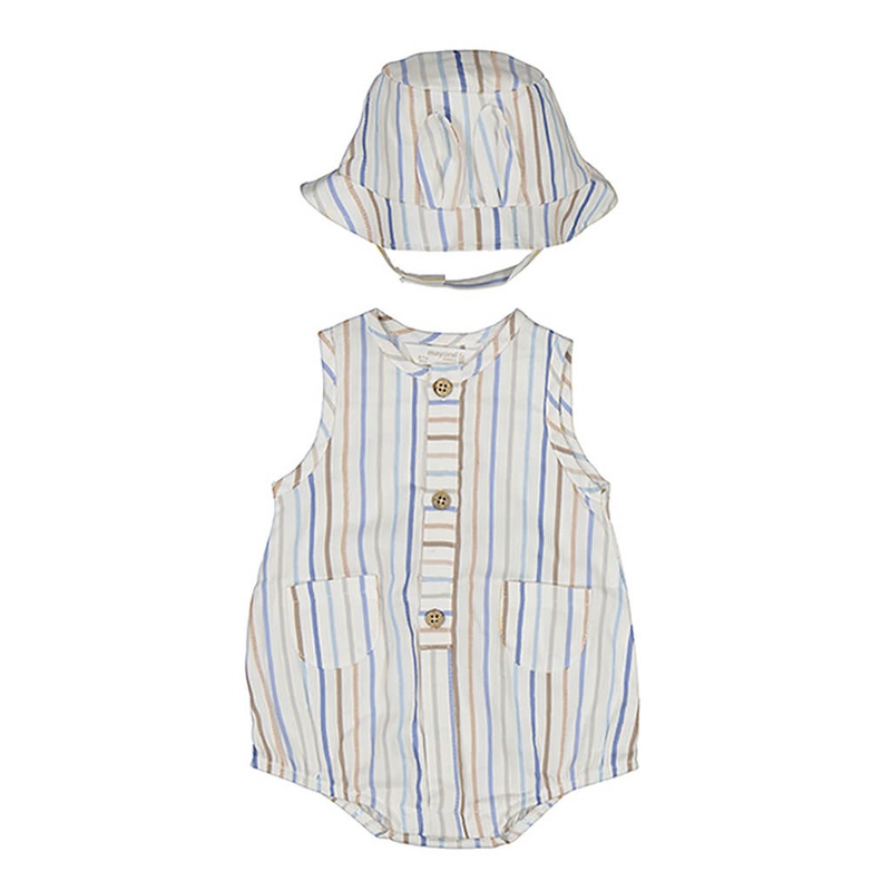 Calathea concinna freddie, Calathea concinna – Plant