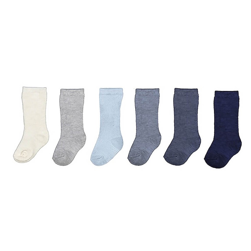 Pencil Tree, Euphorbia tirucalli – Succulent Plant