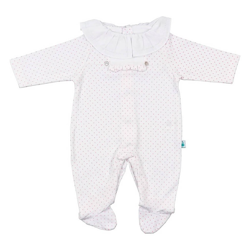 Oncidium grower ramsey – Plant