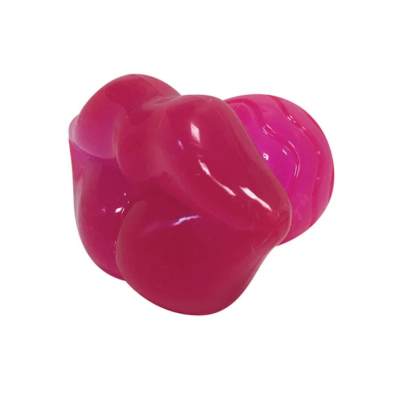 Calathea crotalifera orange rattle – Plant