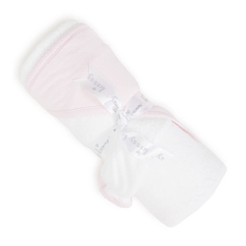 Dizygotheca elegantissima castor variegata – Plant