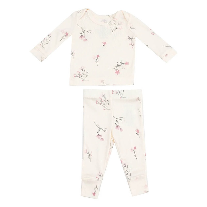 Money plant marble prince, Scindapsus n joy – Plant