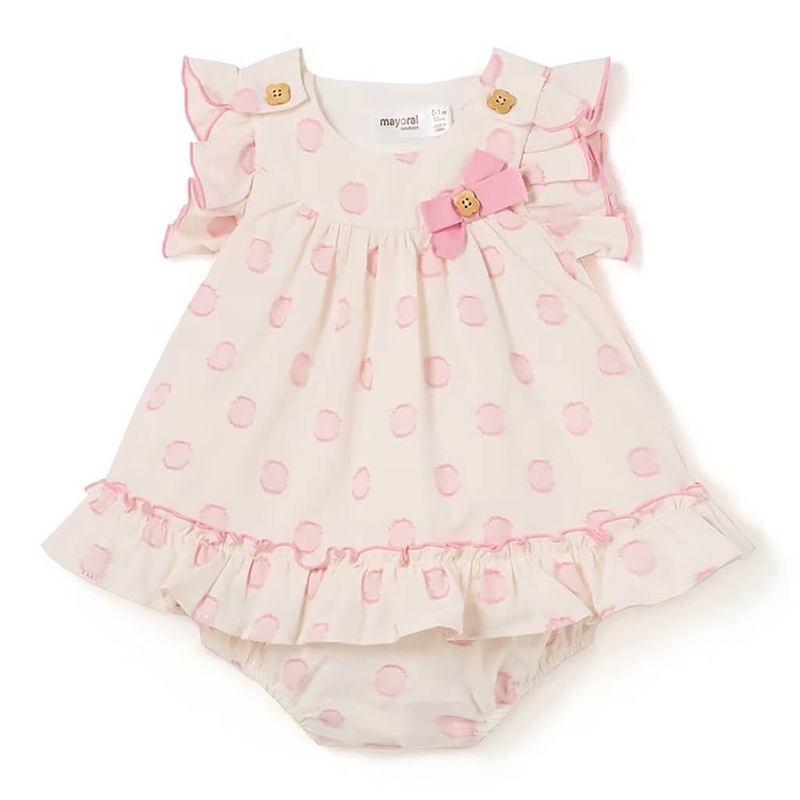 Carolina vanilla – Plant