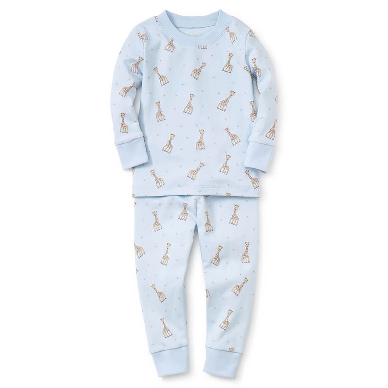 Bougainvillea Dwarf (Pink) – Plant