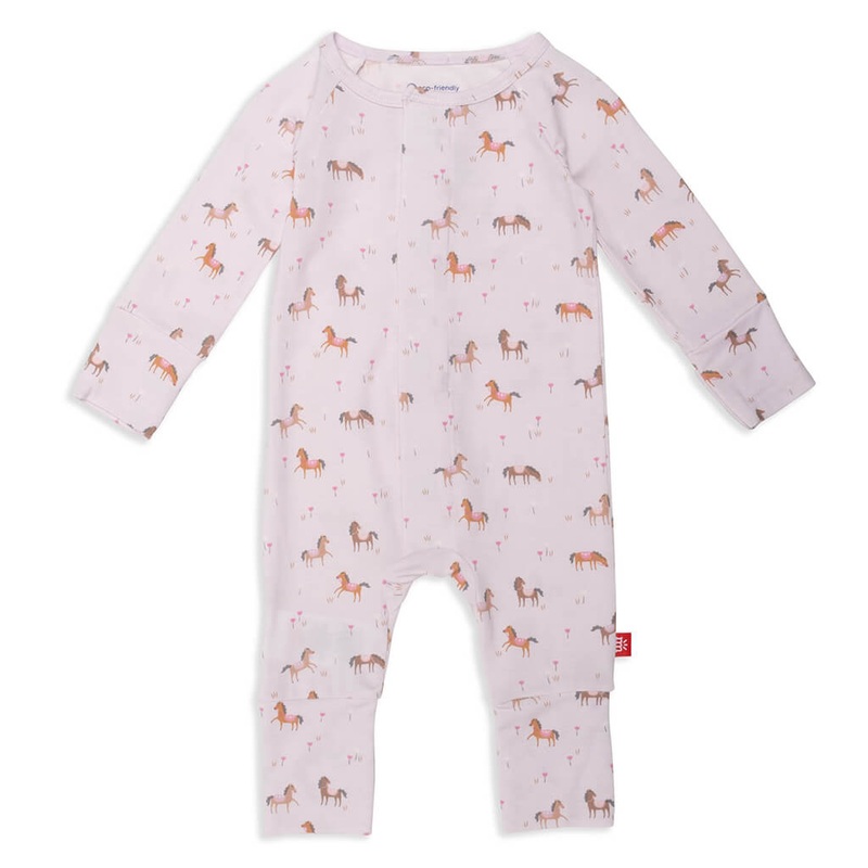 Coleus (Green) – Plant