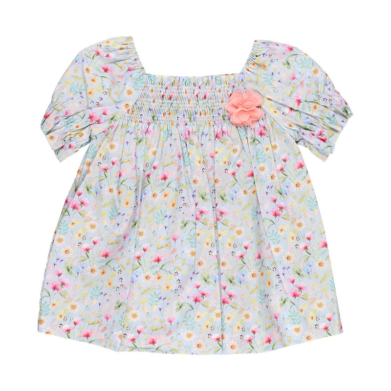 Ficus Starlight, Ficus benjamina – Plant