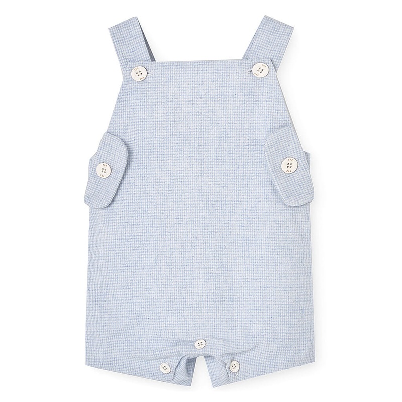 Aptenia, Heartleaf Ice – Succulent Plant