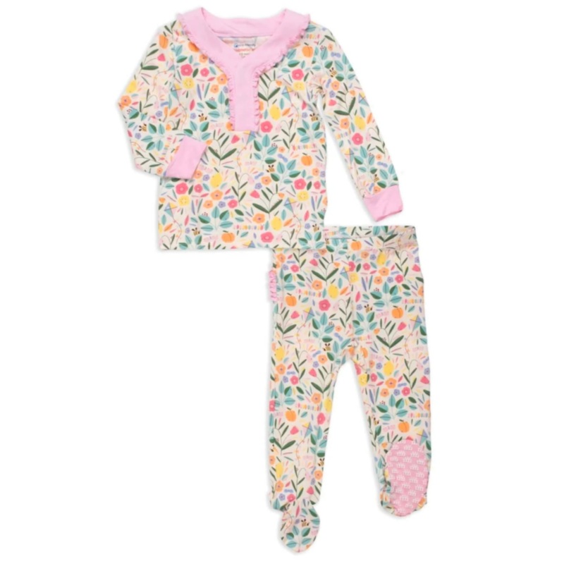 American Elderberry, Sambucus – Plant