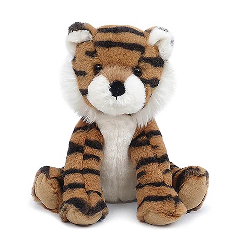 Clivia Miniata, Kaffir lily – Plant