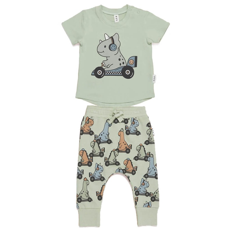 Hibiscus, Gudhal Flower (Yellow) – Plant