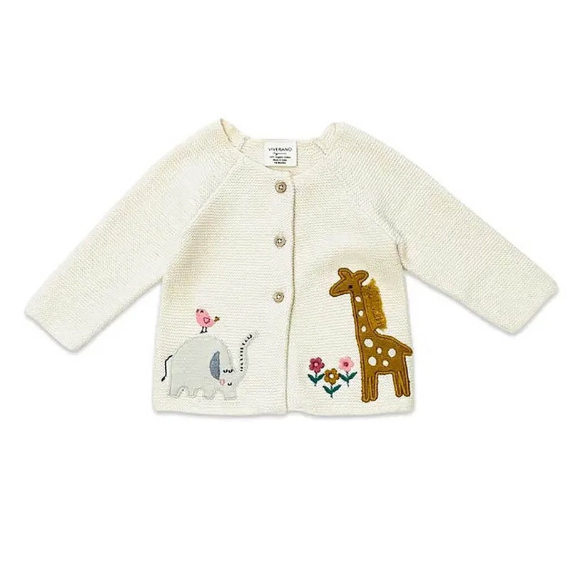 Bougainvillea x buttiana variegata rosea – Plant