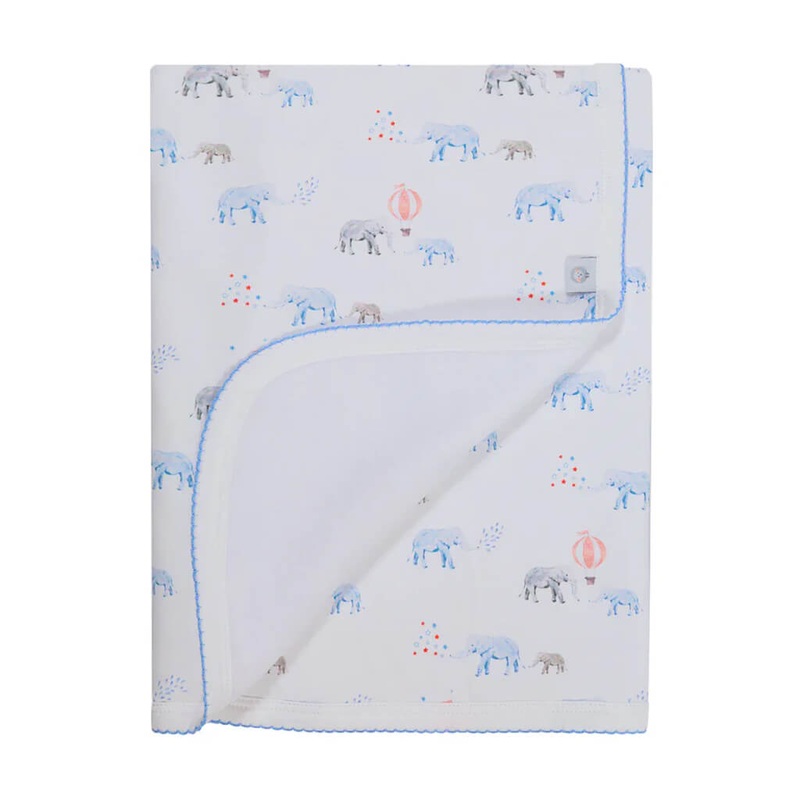 Mesua ferrea, Nagkeshar – 0.5 kg Seeds