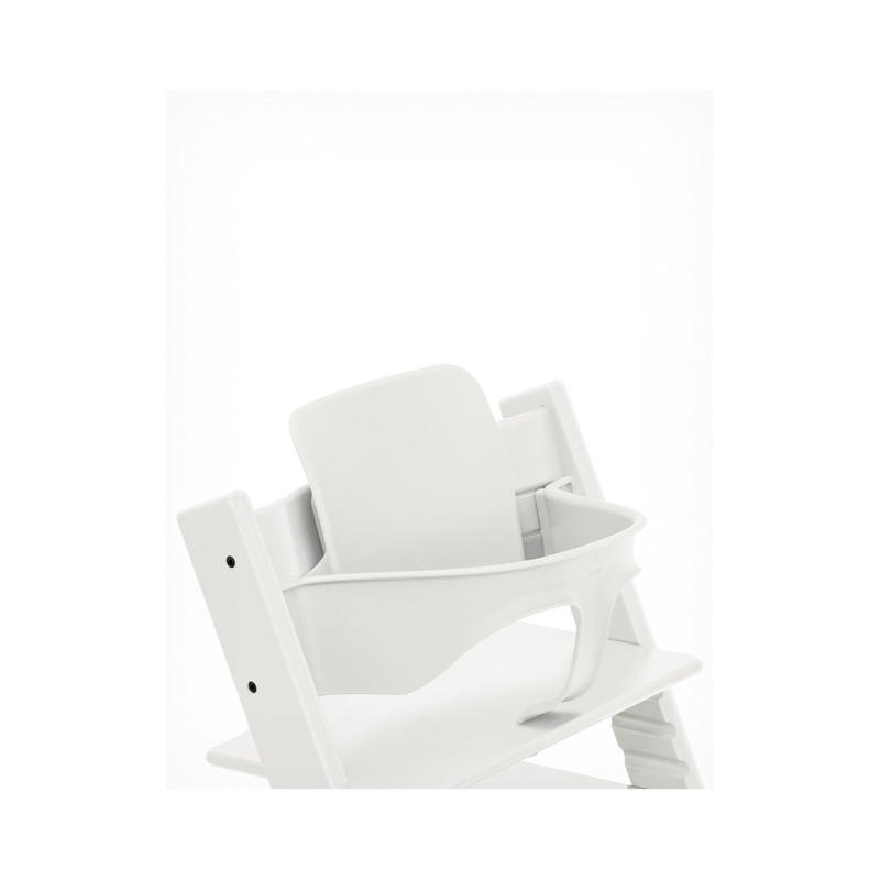 88004112 (Watts) | 1 LF009M2-QT-FS | Lead Free | Npt