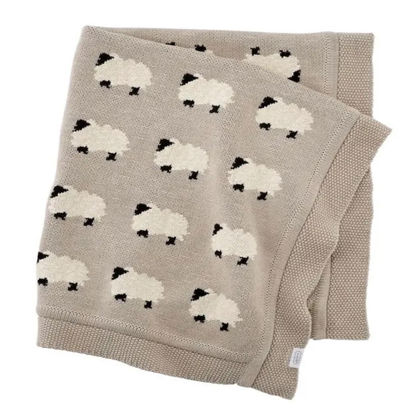 Bougainvillea spectabilis highway red n pink – Plant