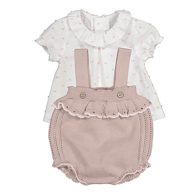 Fatsia japonica variegata – Plant