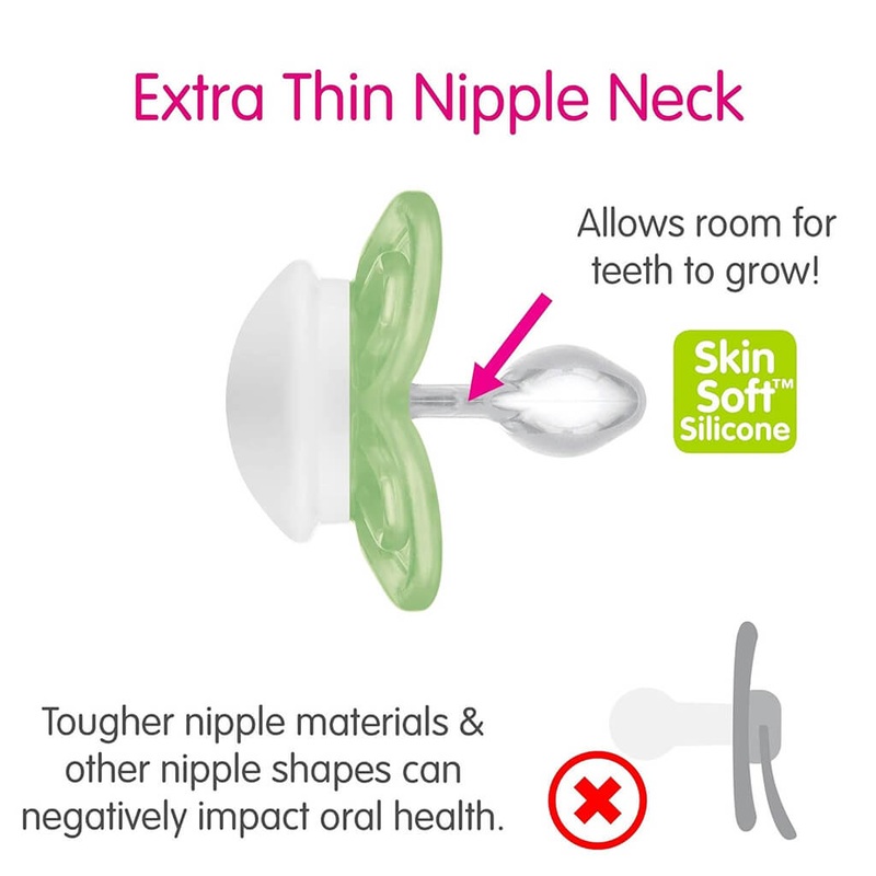 Agapanthus africanus minor – Plant