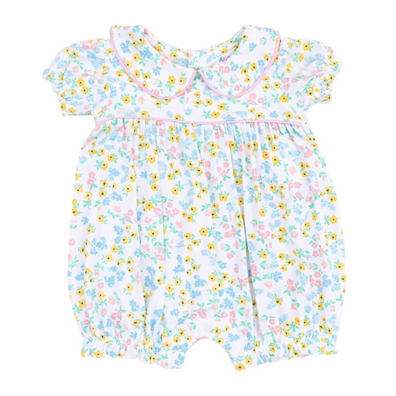 Bismarckia nobilis blue form – Plant