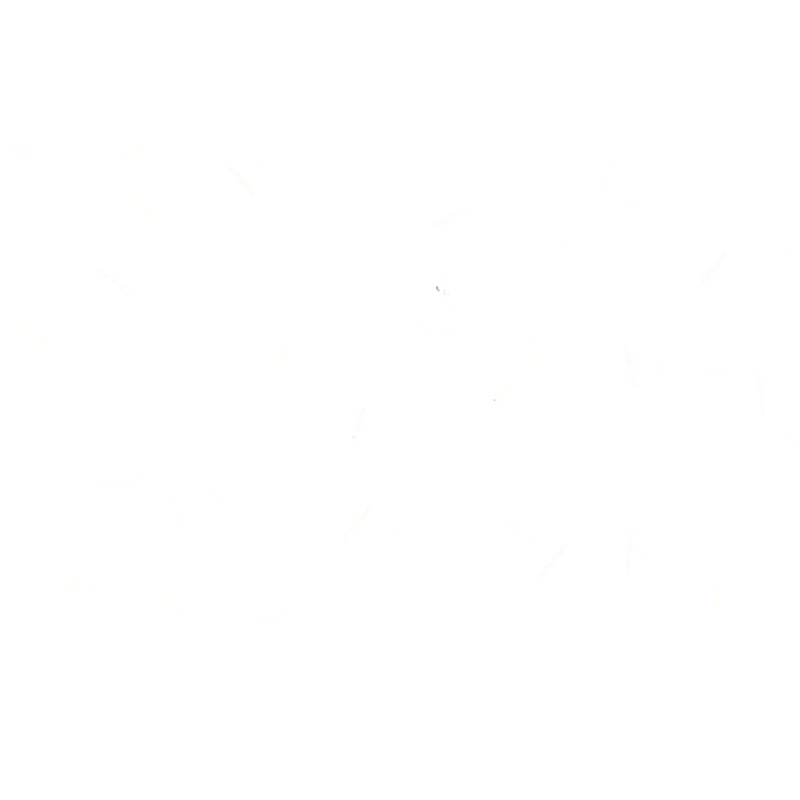 Yamamoto 4″ Double Tail Grub (20 Pk)