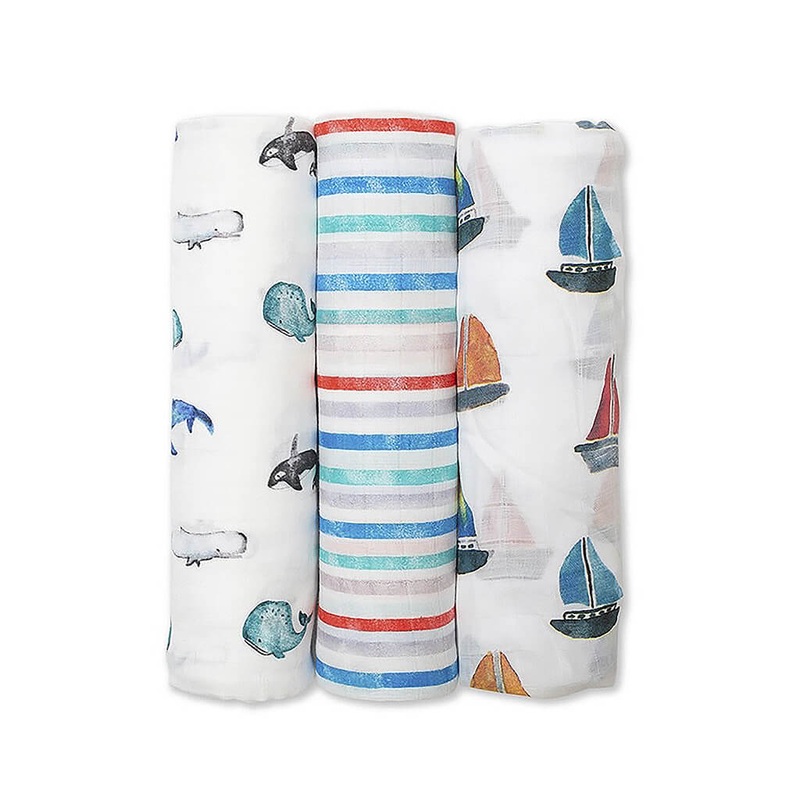 Chlorophytum Borivilianum – Plant