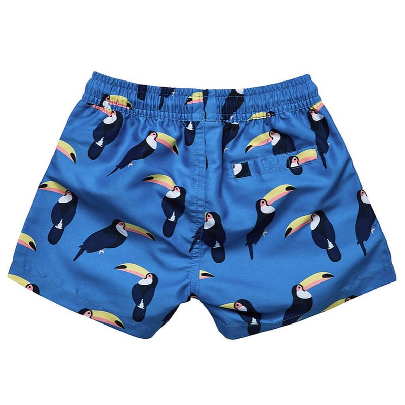 Iris Casablanca (White, Yellow) – Bulbs (set of 5)