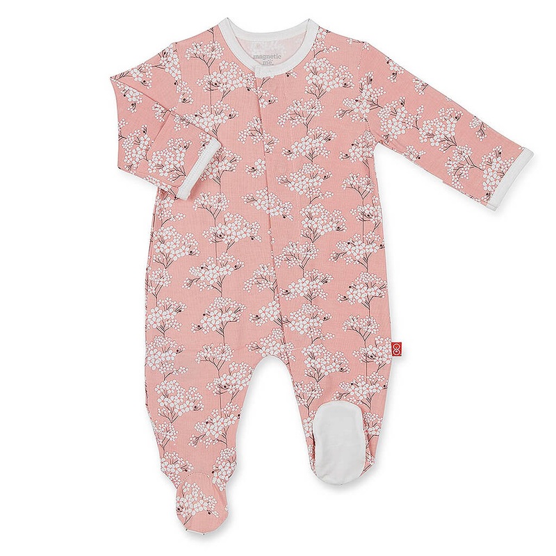 Sageretia theezans – Plant