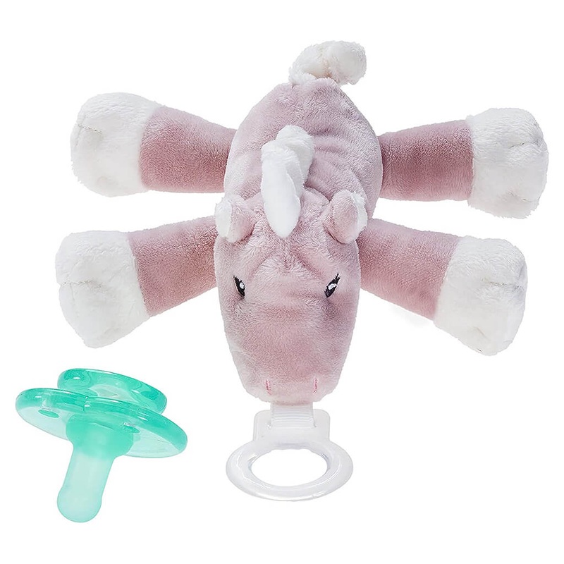 Conocarpus erectus – Plant