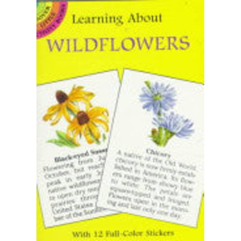 Learning About Wildflowers