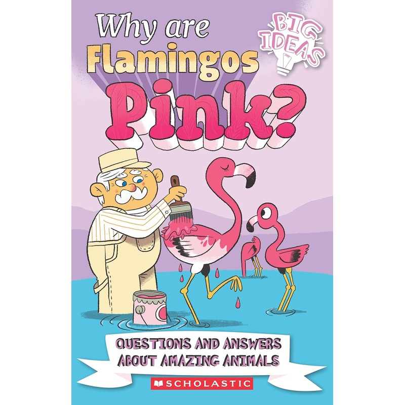Why Are Flamingos Pink? – Paperback
