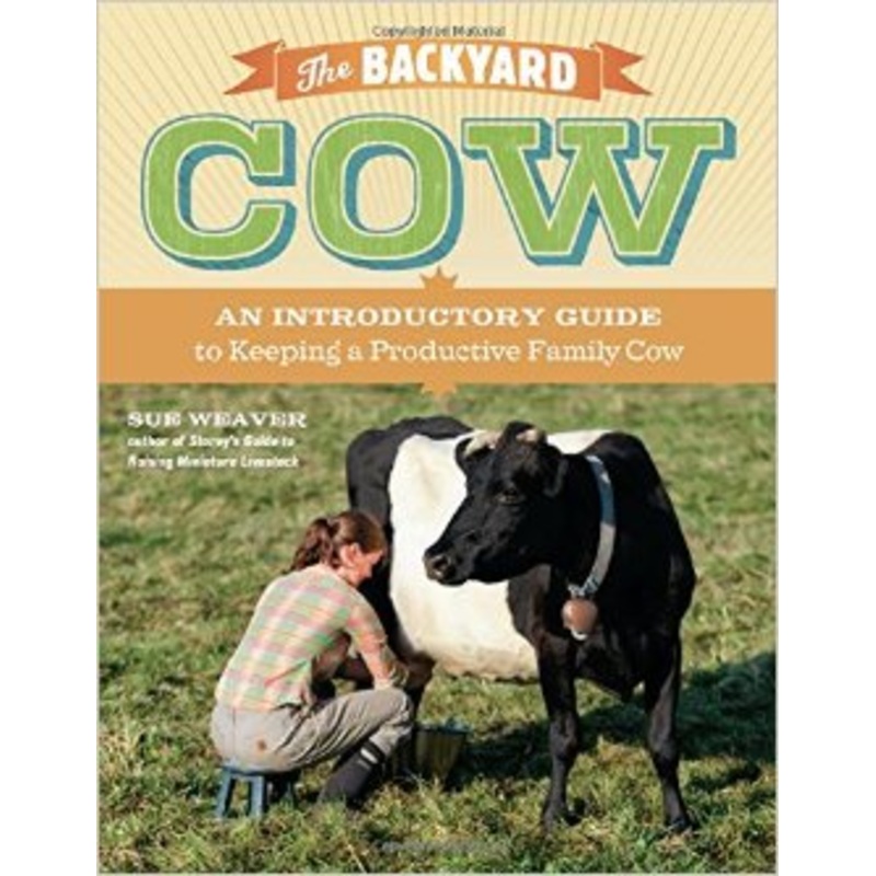 The Backyard Cow