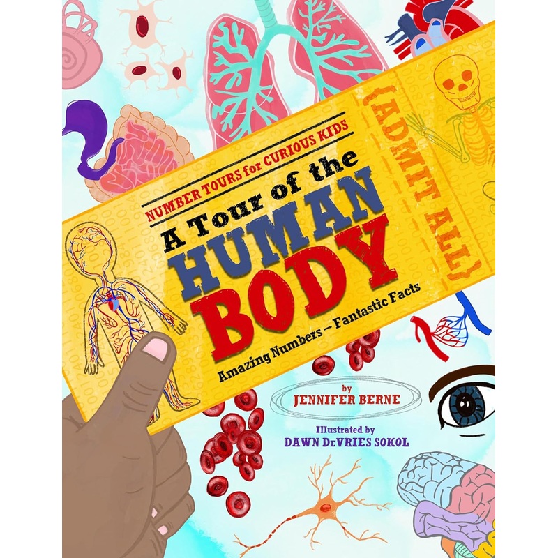 A Tour of the Human Body