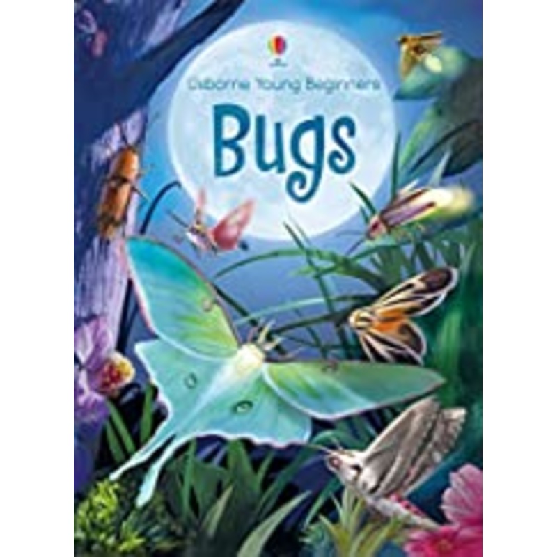 Usborne : Young Beginners Bugs
