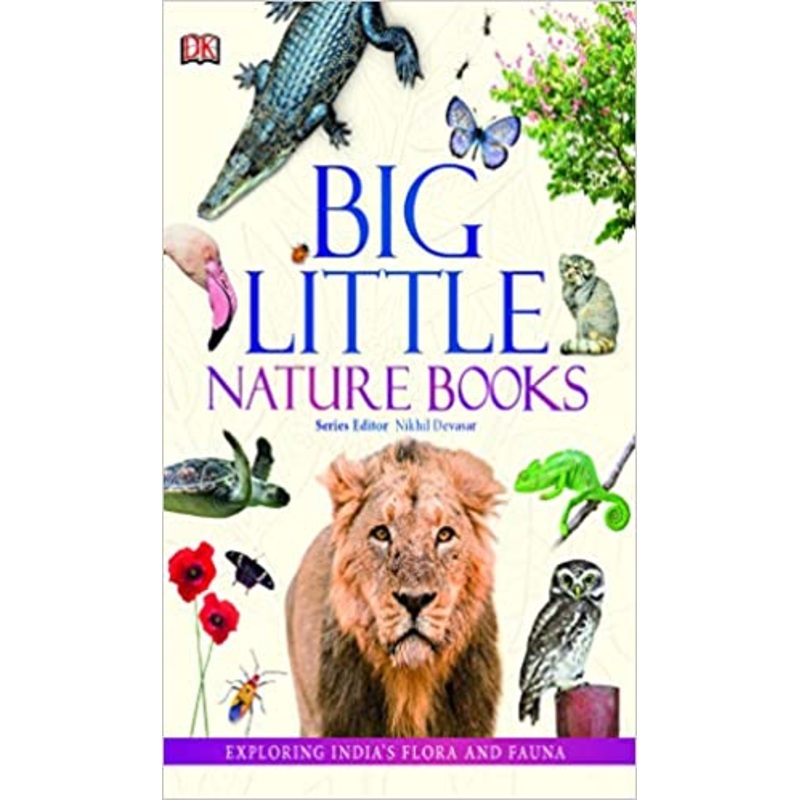 Big Little Nature BookS Box Set (set of 5 Books)