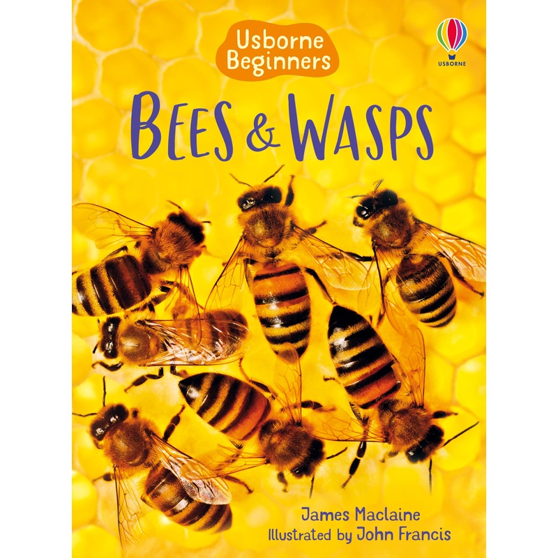 Usborne Beginners : Bees and Wasps – Paperback