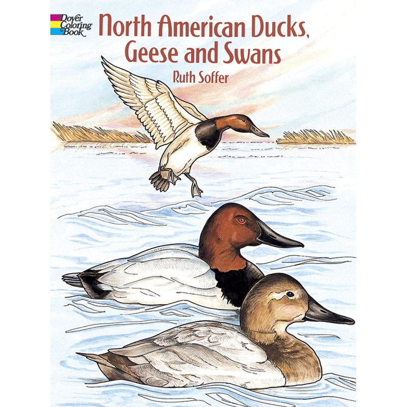 North American Ducks, Geese, and Swans Coloring Book