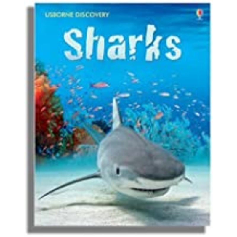 Usborne Discovery : Sharks