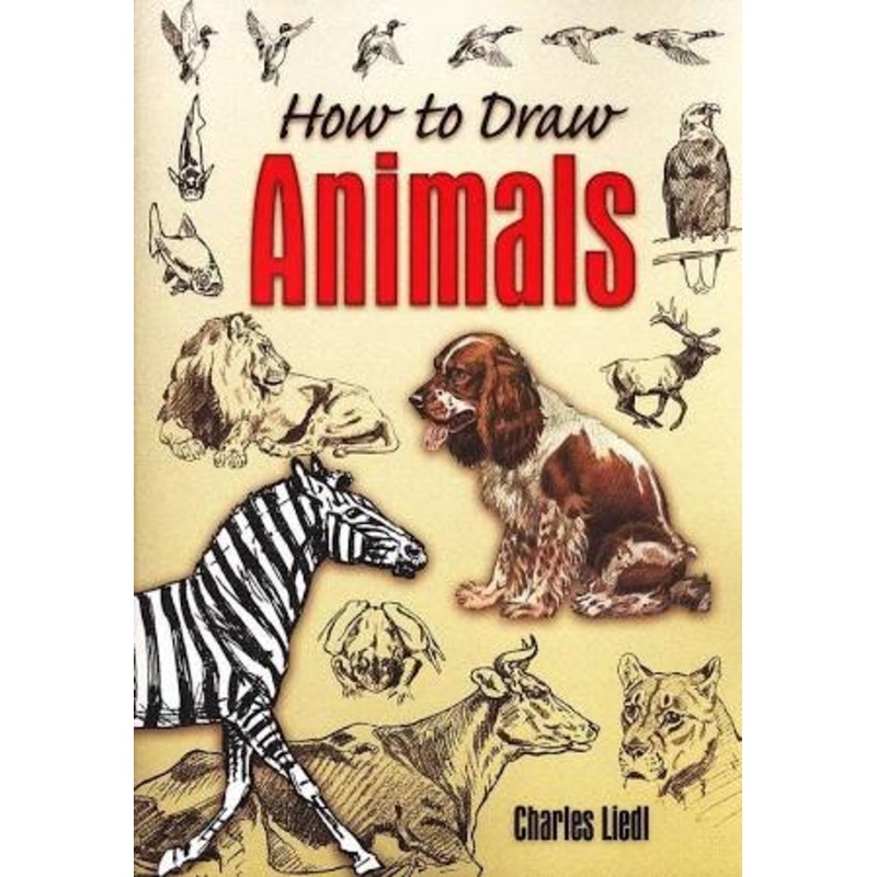 How to Draw Animals IW3308929902