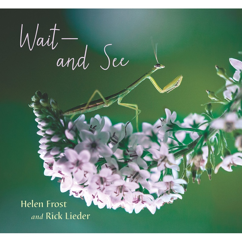 Wait And See – Hardback
