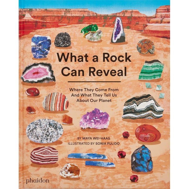 What a Rock Can Reveal – Paperback