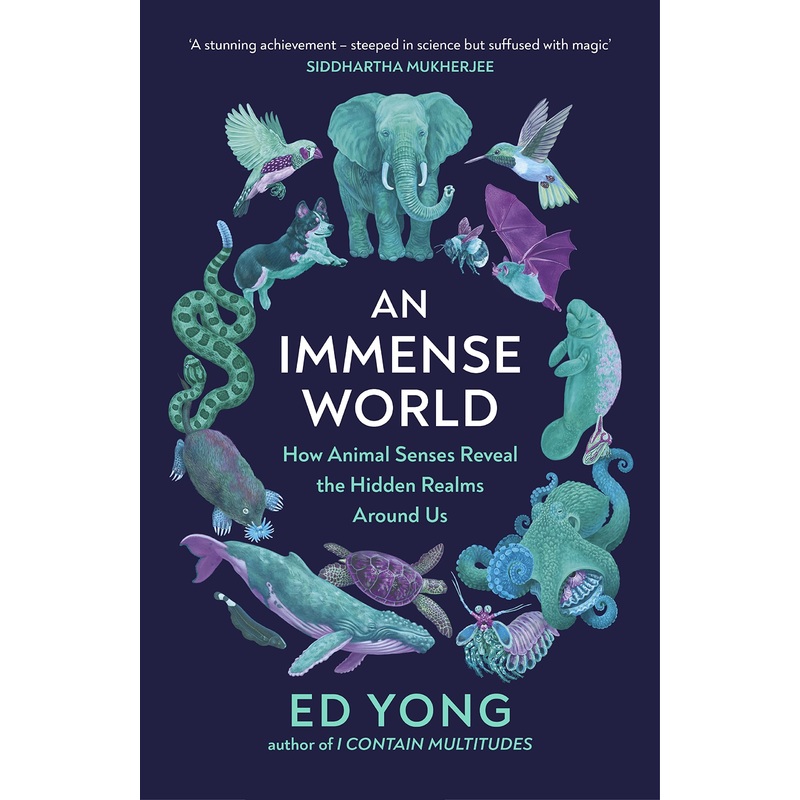 An Immense World : How Animal Senses Reveal the Hidden Realms Around Us – Paperback