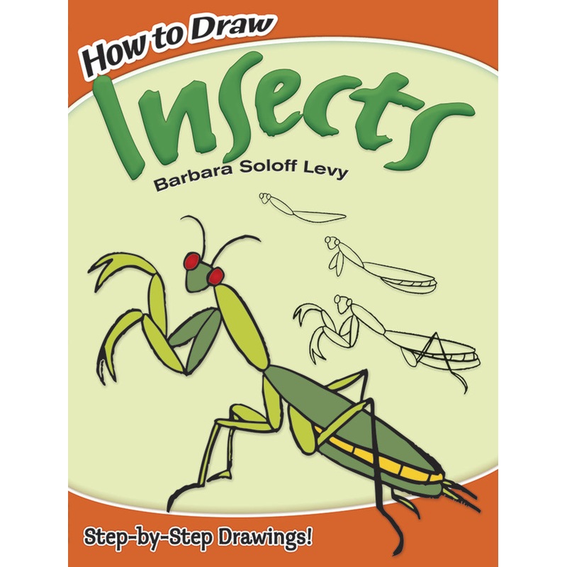 How to Draw Insects