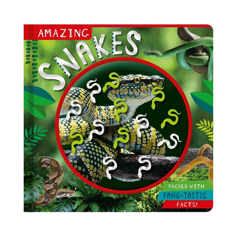 Amazing Snakes by Naomi Churn, Stuart Lynch