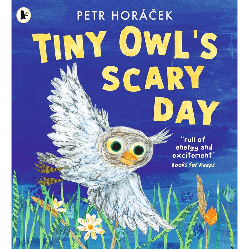 Tiny Owl’s Scary Day – Paperback