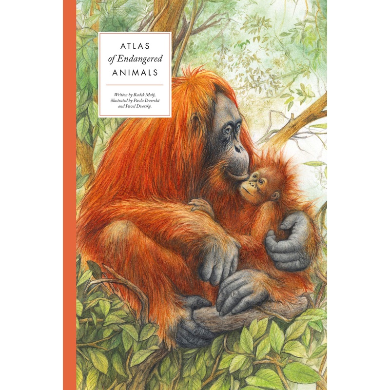 Atlas of Endangered Animals (Large Encyclopedias of Animals) – Hardback