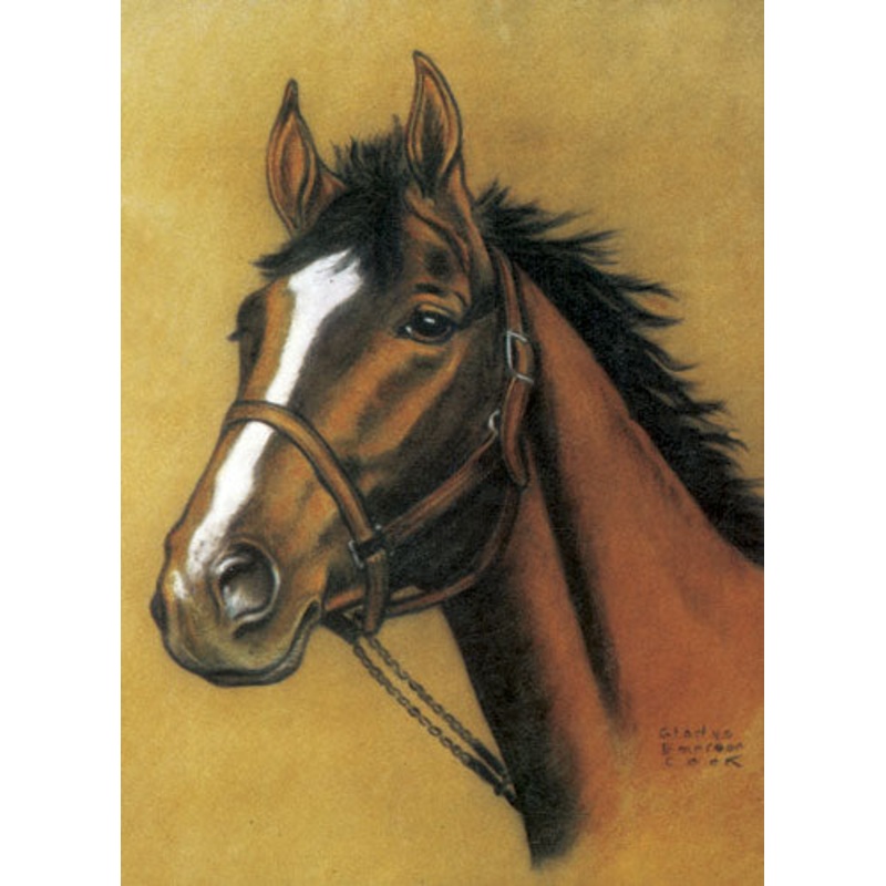Horse Notebook (Mini Dover)