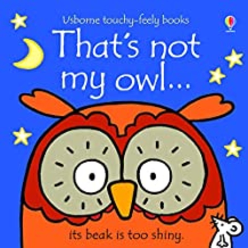 Usborne : That’s Not My Owl